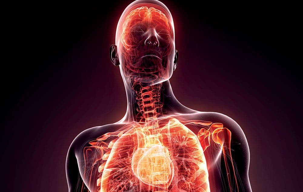 Entzündung bekämpfen: Wie SINOVIT Ihre Gesundheit unterstützt