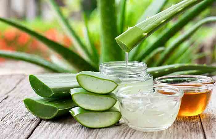Aloe Vera Forever Lips: Ein Leitfaden für Unabhängige Forever Living Distributoren