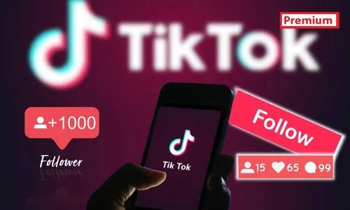 tiktok zuschauer kaufen